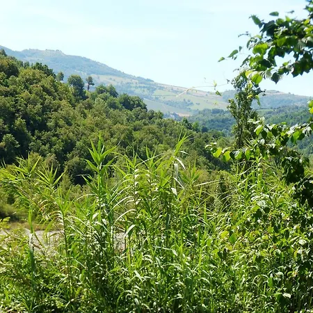 Nicoletta Spirito Del Tibet