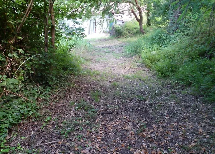 Nicoletta Spirito Del Tibet 3*