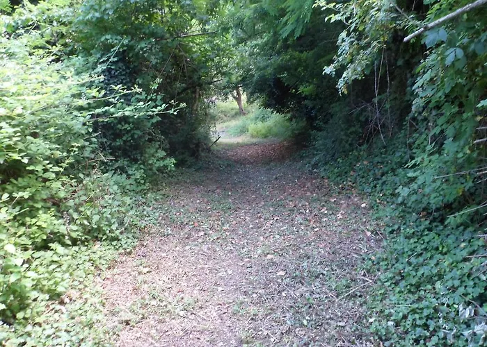 B&B Nicoletta Spirito Del Tibet 산레오