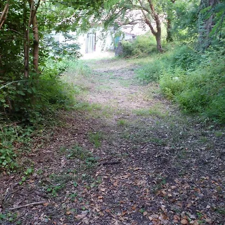 Nicoletta Spirito Del Tibet 3*