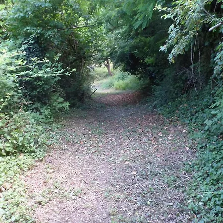 Bed and Breakfast Nicoletta Spirito Del Tibet San Leo