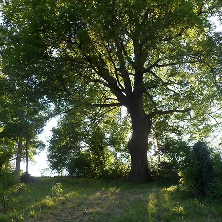 Nicoletta Spirito Del Tibet Bed and Breakfast 3*