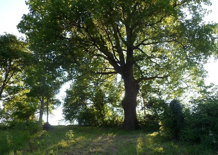 Nicoletta Spirito Del Tibet Nocleg ze śniadaniem 3*
