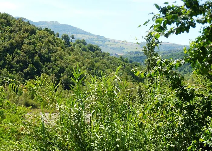 Nicoletta Spirito Del Tibet